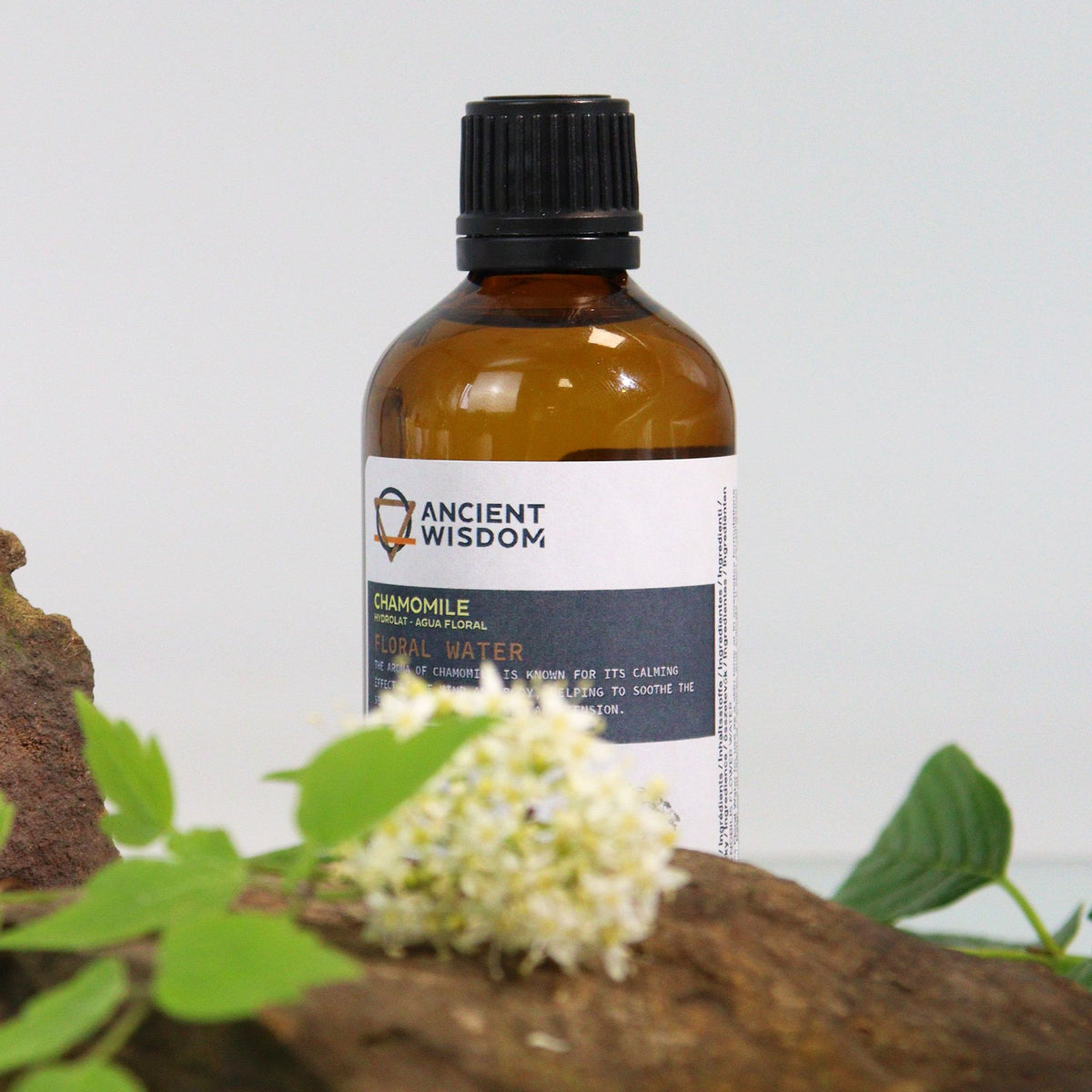 Chamomile Hydrolat — 100ml