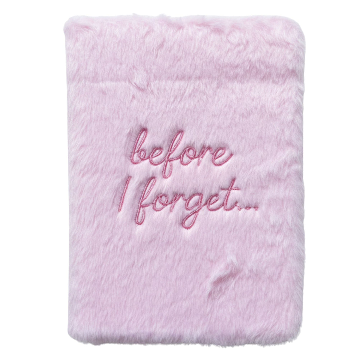 Dream Journal — Before I Forget