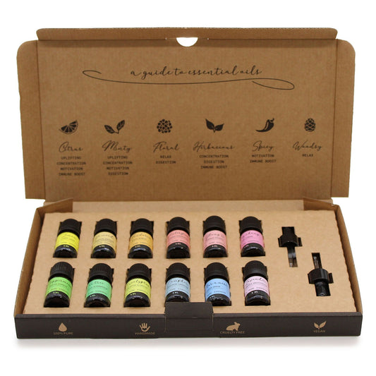 Aromatherapy Essential Oil Set — Starter Pack