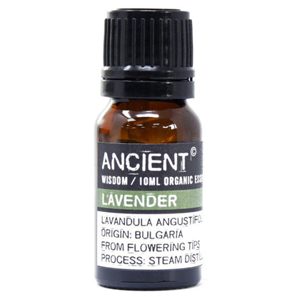 Organic Lavender Essential Oil — 10ml