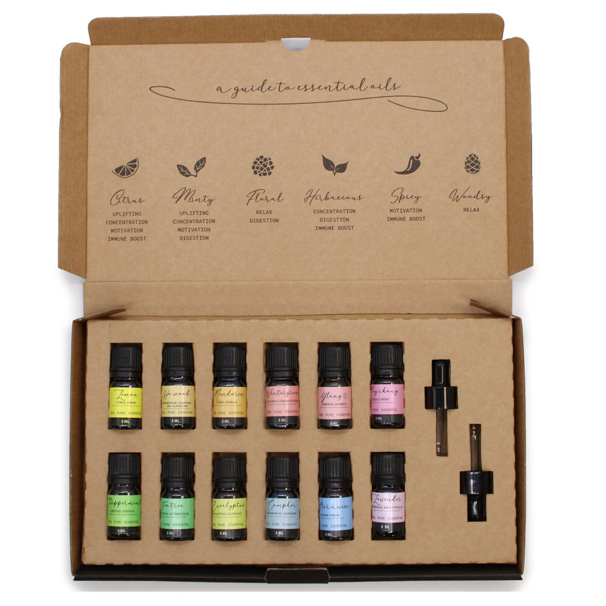 Aromatherapy Essential Oil Set — Starter Pack