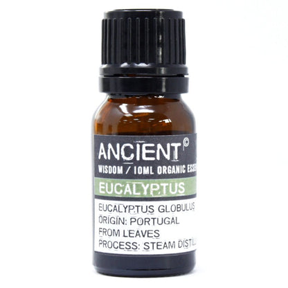 Organic Eucalyptus Essential Oil 10ml product view