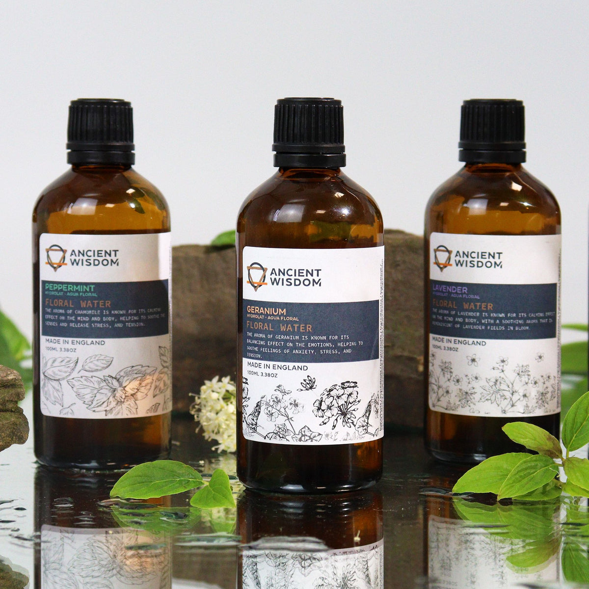 Lavender Hydrolat — 100ml