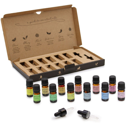 Aromatherapy Essential Oil Set — Starter Pack